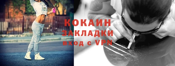 мдпв Бронницы