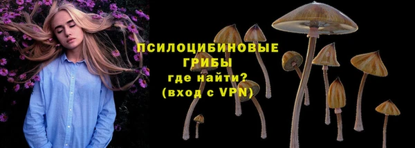 тгк Бугульма