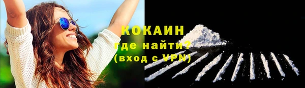 мдпв Бронницы