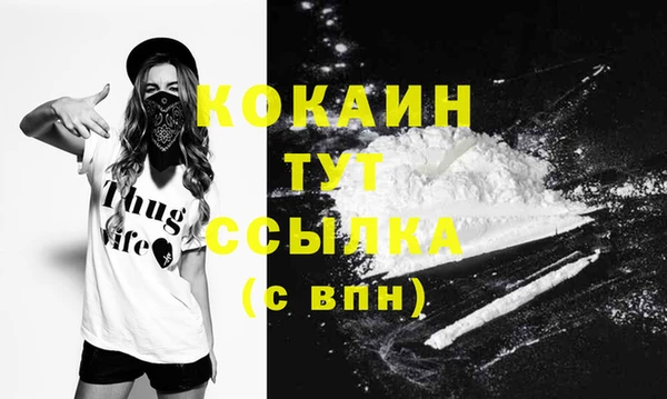 мдпв Бронницы